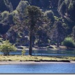 Programa de las Naciones Unidas para el Desarrollo se ejecutará en comunas cordilleranas de La Araucanía