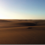 ¿Qué son las dunas y por qué son importantes?